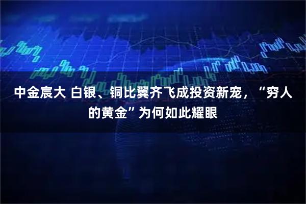 中金宸大 白银、铜比翼齐飞成投资新宠，“穷人的黄金”为何如此耀眼