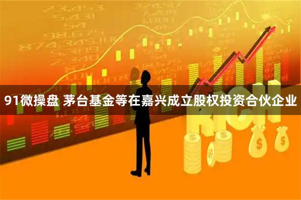 91微操盘 茅台基金等在嘉兴成立股权投资合伙企业