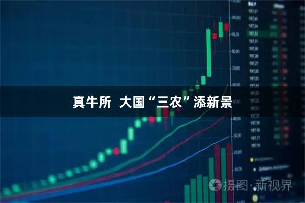 真牛所  大国“三农”添新景